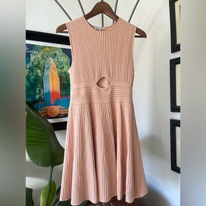 Ronny Kobo Revolve Sleeveless Skater Dress, size Medium